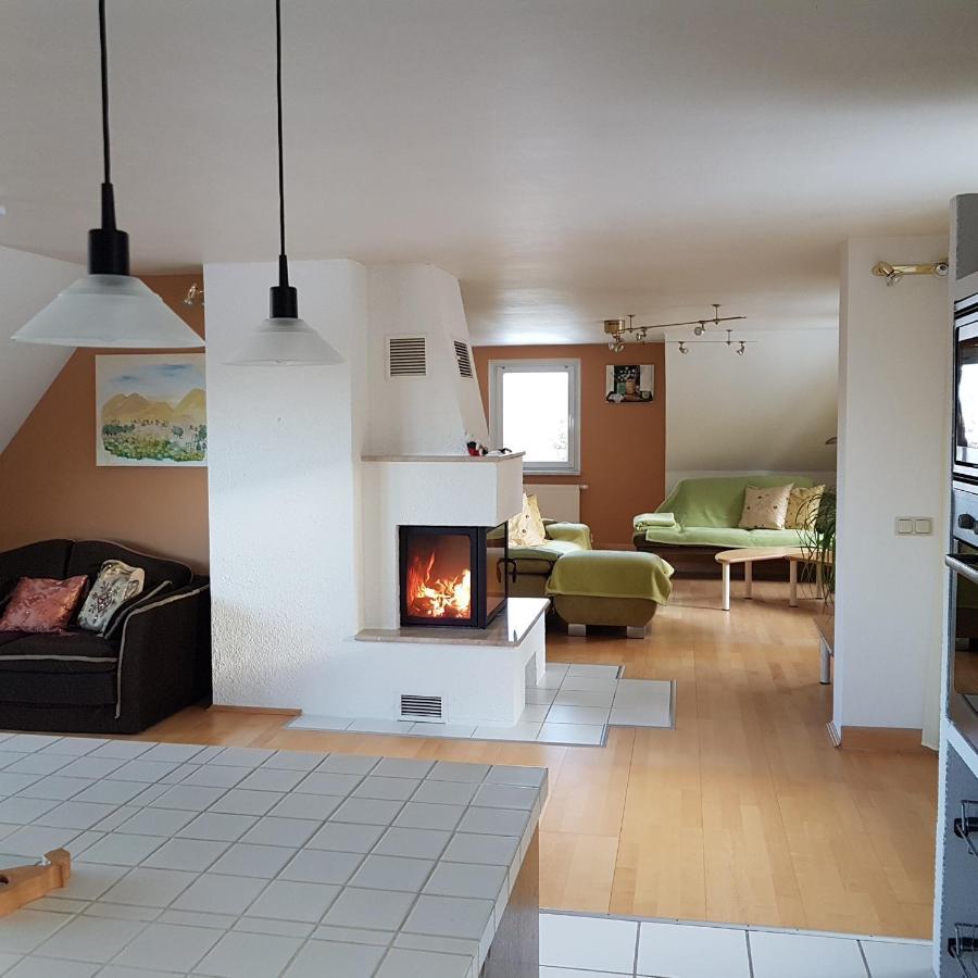 Ferienwohnung Goldene Hoehe Rechenberg-Bienenmühle Exterior foto